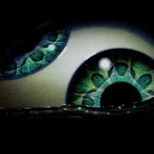 Meet your Posher, Sebastian